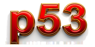 p53